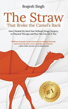 portada The Straw That Broke the Camel's Back: How i Healed my Back Pain Without Drugs, Surgery, or Physical Therapy and how you can do it too (en Inglés)