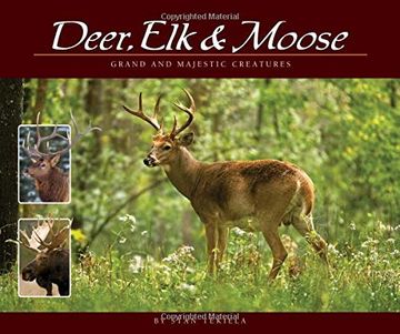 portada Deer, elk & Moose: Grand and Majestic Creatures (Wildlife Appreciation) (en Inglés)