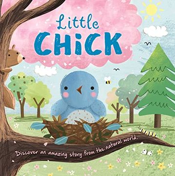 portada Nature Stories: Little Chick: Padded Board Book (en Inglés)