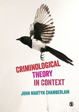 portada Criminological Theory in Context (in English)