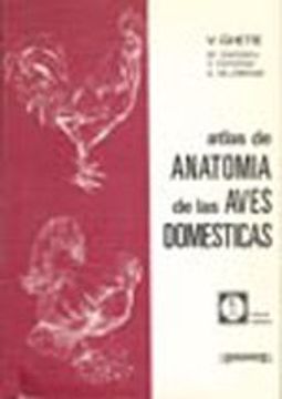 portada Atlas de Anatomía de las Aves Domésticas. (in Spanish)