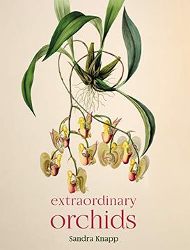 portada Extraordinary Orchids (en Inglés)