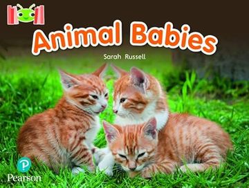 portada Bug Club Reading Corner: Age 4-7: Animal Babies