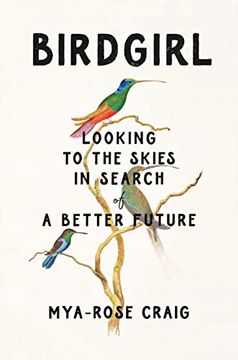 portada Birdgirl: Looking to the Skies in Search of a Better Future (en Inglés)
