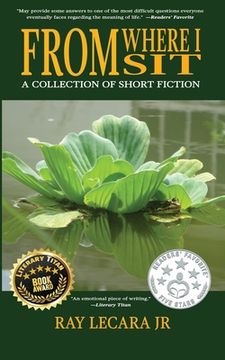portada From Where I Sit: A Collection of Short Fiction (en Inglés)