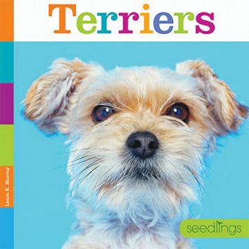 portada Terriers