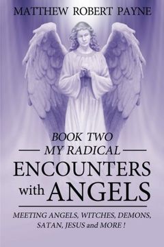 portada My Radical Encounters with Angels: Meeting Angels, Witches, Demons, Satan, Jesus and More (Volume 2)