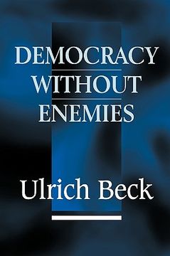 portada democracy without enemies (in English)