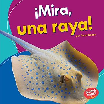 portada Mira, Una Raya! (Look, a Ray!) (Bumba Books en Español: Veo animales marinos / I See Ocean Animals)