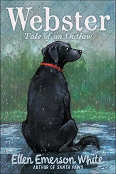 portada Webster: Tale of an Outlaw
