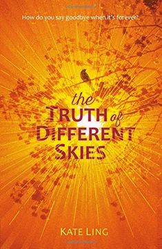 portada The Truth of Different Skies (Ventura Saga)
