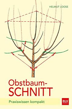 portada Obstbaumschnitt: Praxiswissen Kompakt (en Alemán)