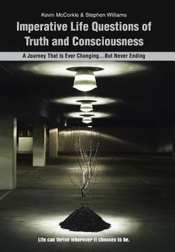 portada Imperative Life Questions of Truth and Consciousness: A Journey That Is Ever Changing...But Never Ending (en Inglés)
