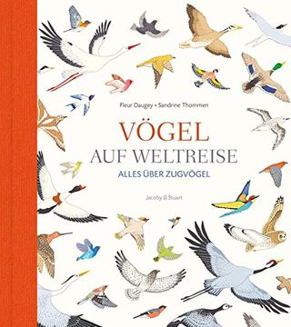 portada Vögel auf Weltreise: Alles Über Zugvögel (in German)
