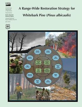 portada A Range-Wide Restoration Strategy for Whitebark Pine (Pinus albicaulis) (in English)