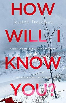 portada How Will i Know You? (in English)