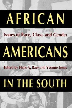 portada african americans in the south: issues of race, class, and gender (en Inglés)