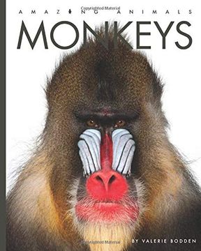 portada Monkeys (Amazing Animals) (in English)
