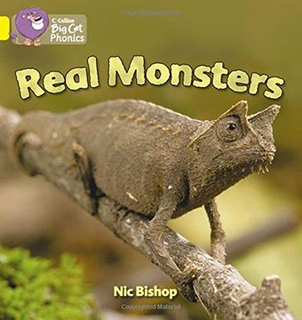 portada Real Monsters: Yellow / Band 3 (en Inglés)