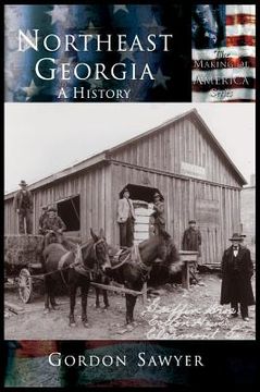 portada Northeast Georgia: A History (en Inglés)