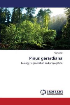 portada Pinus gerardiana