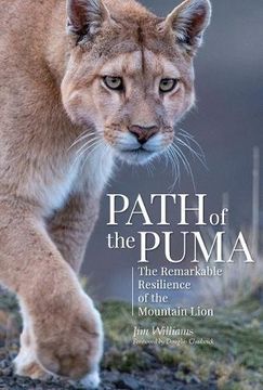 portada Path of the Puma: The Remarkable Resilience of the Mountain Lion (in English)
