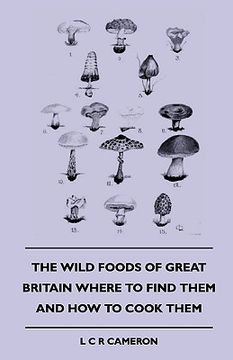 portada the wild foods of great britain where to find them and how to cook them (en Inglés)