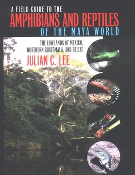 portada A Field Guide to the Amphibians and Reptiles of the Maya World: The Lowlands of Mexico, Northern Guatemala, and Belize (in English)