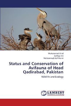portada Status and Conservation of Avifauna of Head Qadirabad, Pakistan