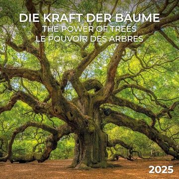 portada Die Kraft der Bäume 2025 (en Inglés)