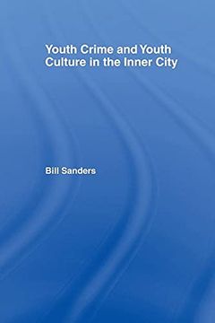 portada Youth Crime and Youth Culture in the Inner City