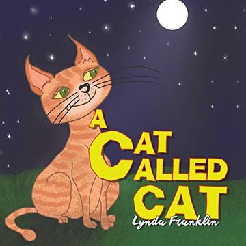 portada A cat Called cat (en Inglés)