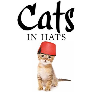 portada Cats in Hats 