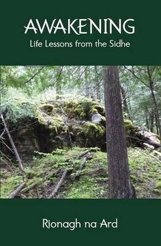 portada Awakening: Life Lessons from the Sidhe (en Inglés)