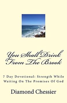 portada You Shall Drink From the Brook: 7 day Devotional: Strength While Waiting on the Promises of god (en Inglés)