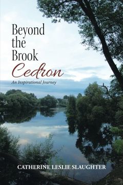 portada Beyond the Brook Cedron: An Inspirational Journey