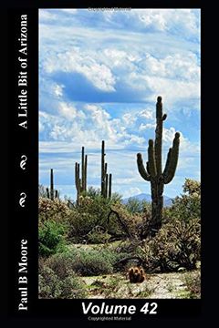 portada A Little bit of Arizona: Volume 42 (in English)