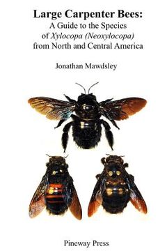 portada Large Carpenter Bees: A Guide to Species of Xylocopa (Neoxylocopa) from North and Central America (en Inglés)