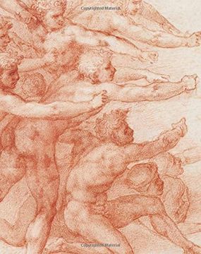 portada Michelangelo - Divine Draftsman and Designer