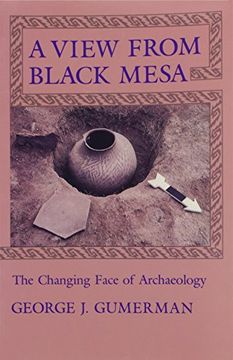 portada A View From Black Mesa: The Changing Face of Archaeology (en Inglés)