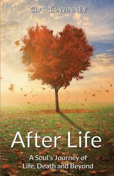portada After Life: A Soul's Journey of Life, Death and Beyond