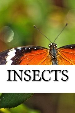 portada Insects (en Inglés)