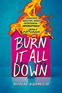 portada Burn it all Down (en Inglés)