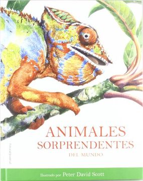 portada Animales Sorprendentes del Mundo (in Spanish)
