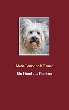 portada Ein Hund aus Flandern
