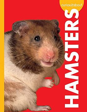 portada Curious about Hamsters (in English)