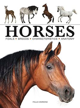 portada Horses (en Inglés)