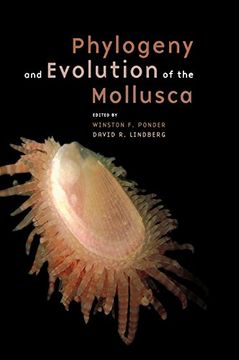 portada Phylogeny and Evolution of the Mollusca (in English)