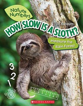 portada How Slow Is a Sloth?: Measure the Rainforest (Nature Numbers): Measure the Rainforest (in English)
