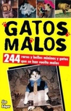 portada Gatos Malos. 244 Raros y Bellos Mininos y Gatos que se han Vuelto Malos